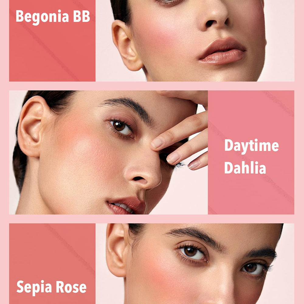 پلت رژگونه ۶ تایی شیگلم رنگ multicolor