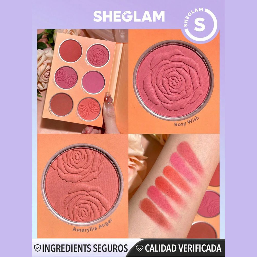 پلت رژگونه ۶ تایی شیگلم رنگ multicolor