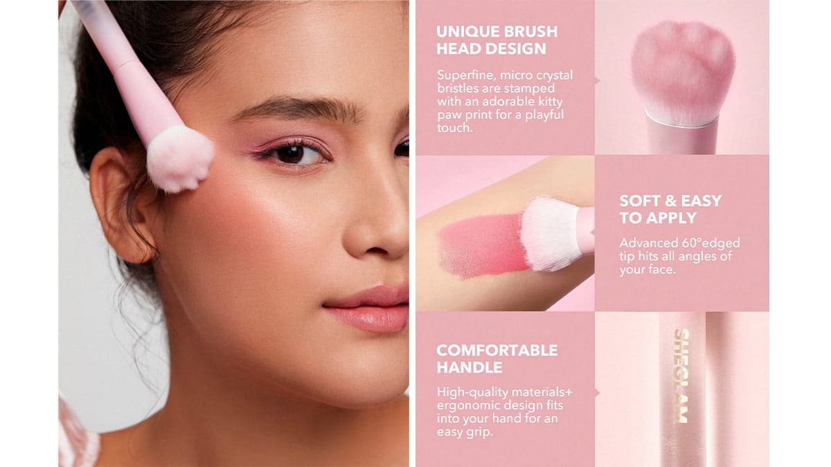 راهنمای استفاده از براش گونه پنجه گربه ای شیگلم