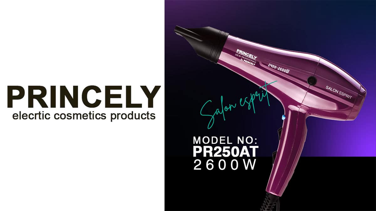 راهنمای استفاده از سشوار حرفه ای پرنسلی مدل PR250AT