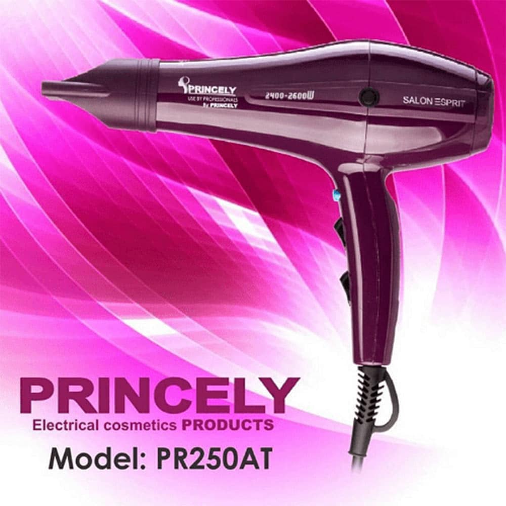 سشوار حرفه ای پرنسلی مدل PR250AT