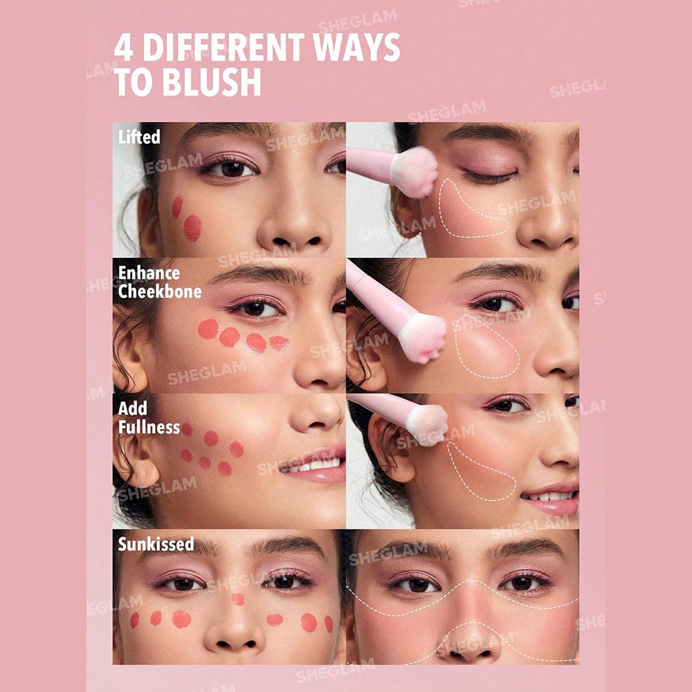 براش گونه پنجه گربه ای شیگلم